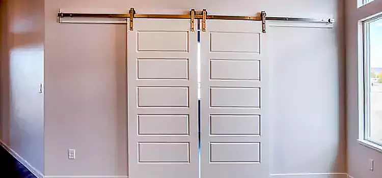 Glass Barn Door with Installation Hardware Kit Pinole