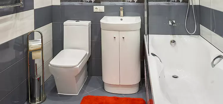 Hansgrohe Shaving Mirror Pinole